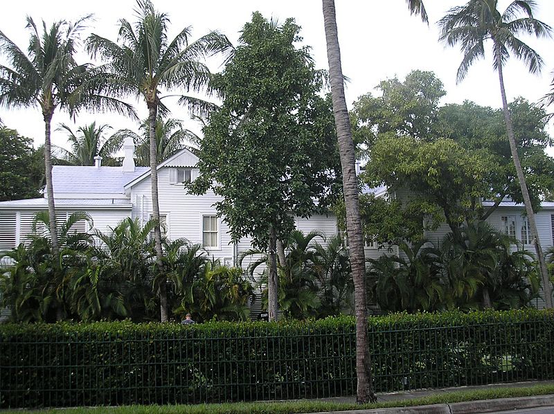 Little White House FH010007