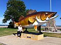 MILLE-LACS