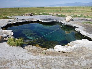 Meadow Hot Springs, DyeClan.com - panoramio (1)