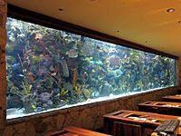 Mirage Aquarium (8226785671)