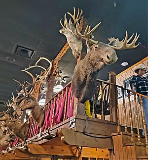 Moose and deer heads at the Big Texan steakhouse