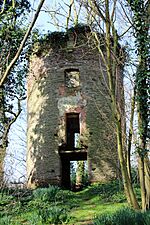 Old Tower in Burlinch Plantation (geograph 4392125).jpg