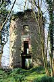 Old Tower in Burlinch Plantation (geograph 4392125)