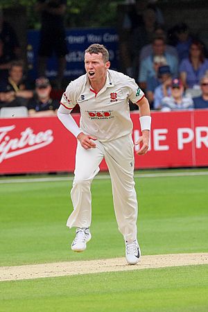 Peter Siddle 2019
