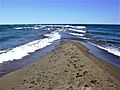 Point Pelee National Park- The Tip of Canada- Ontario
