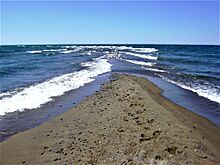 Point Pelee National Park- The Tip of Canada- Ontario