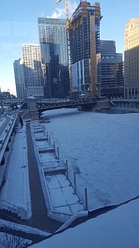 Polar vortex photos Chicago (32003936567)