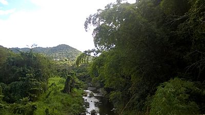 Río Arroyata, Comerío, Puerto Rico