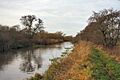 River Lark at Turf Fen - geograph.org.uk - 641356