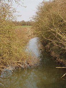 River Ray, Otmoor - geograph.org.uk - 384485