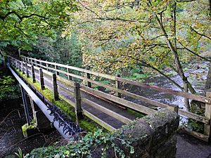 Rocher bridge, Beeley Wood