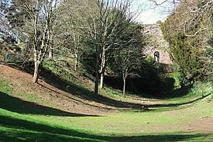 Rougemont Gardens, Exeter - geograph.org.uk - 726008