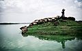Rudramata Dam. A rain water reservoir that supplies water to deserted areas around capital city of Bhuj