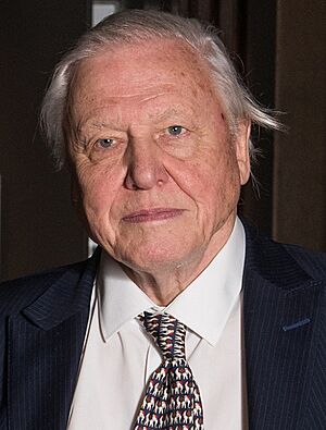 Sir David Attenborough (cropped)
