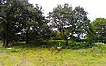 Snape Mound