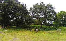 Snape Mound.jpg