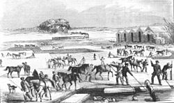 Ice Harvesting on Spy Pond, from an 1854 Print.