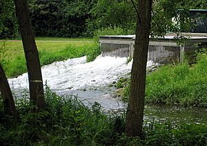 Sump in the Blackbrook Stream (geograph 4151604)
