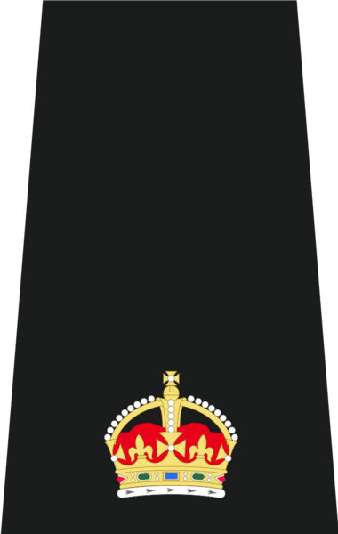 Superintendent Insignia (Tudor Crown)