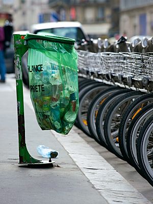 Trash bin in Paris