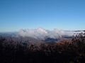 View from Springer Mountain