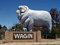 Wagin Giant Ram, Western Australia