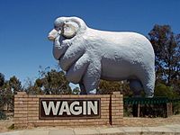 Wagin Giant Ram, Western Australia.jpg