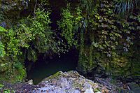 Waitomo Cave Entrance n