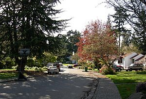 Wedgwood Seattle 1