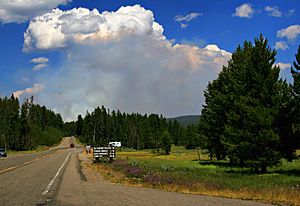 Wildfire in Yellowstone NP produces Pyrocumulus cloud