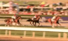 Wise Dan 2012 02.png