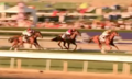Wise Dan 2012 02