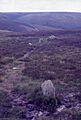 Withypool Stone Circle (geograph 4591136)
