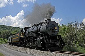 Wms black hills 062x4RP (9131634587)