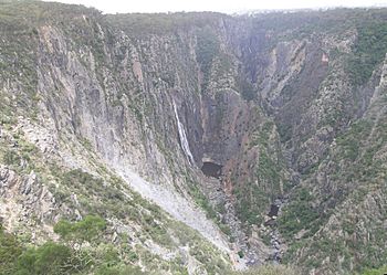 Wollomombi Falls 2.jpg