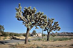 Yucca Valley California 2017