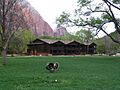 Zion lodge