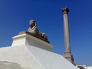 Alexandria-Sawary