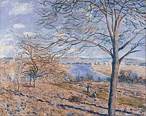 Alferd Sisley - Banks of the Loing - Autumn Effect, 1881 - Google Art Project
