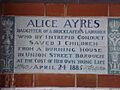 Alice Ayres