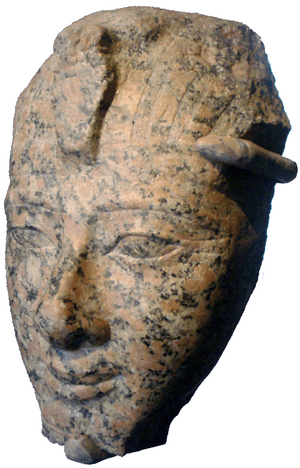 Large statue head of Amenhotep II on display at the Brooklyn Museum.