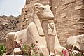 Amun ram statue at Karnak Temple in Luxor