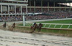 Thoroughbred horse racing at Monmouth Park Racetrack