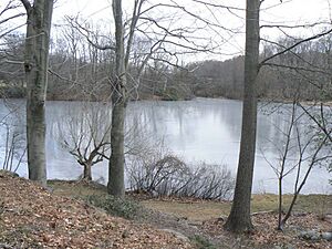 BrooklineMA SargentsPond