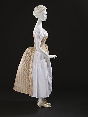 Bustle c. 1885
