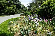 Christchurch Botanic Gardens kz22