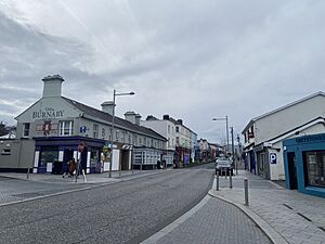 Church Road, Greystones, 2024-03-19