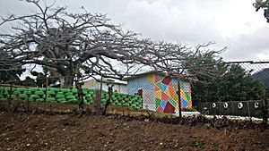 Colorful school in Algarrobo, Guayama, Puerto Rico