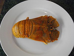 Cooked whole Moreton Bay Bug