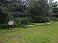 Donington and Albrighton Nature Reserve 05